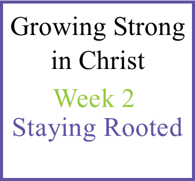 Growing in Christ-Week 2 Staying Rooted