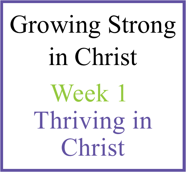 Growing in Christ - Week 1